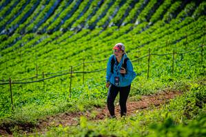 BIB: 
                            <button type="button" onclick="openModal(19162403)" class="btn btn-primary btn-sm float-right btn-popup" data-toggle="modal" data-target=".modal-high-quality">
                        <i class="fas fa-shopping-cart"></i> Add to Cart
                    </button>
                                            <button type="button" onclick="isThisMe(19162403, true)" class="btn btn-success btn-sm float-right btn-popup btn-isme hidden" data-toggle="tooltip" data-placement="bottom" title="นี่คือรูปของคุณใช่ไหม คลิกที่นี่เพื่อเอาเข้าอัลบั้ม">
                        <i class="fas fa-plus"></i> Add to album
                    </button>
                    <button type="button" onclick="isThisMe(19162403, false)" class="btn btn-warning btn-sm float-right btn-popup btn-isnotme hidden">
                        <i class="fas fa-ban"></i> Remove from album
                    </button>